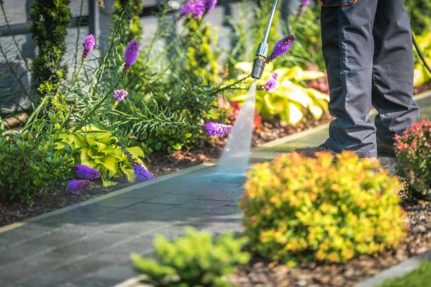 Best Concrete Surface Cleaning in Edgemere, MD